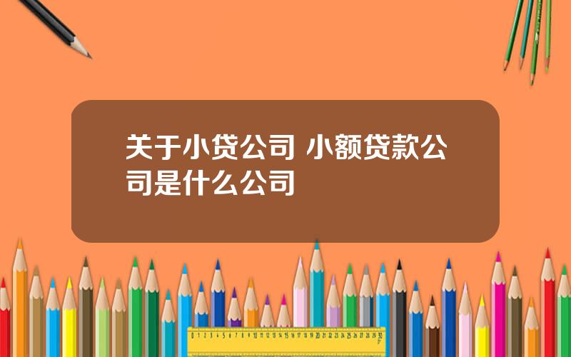 关于小贷公司 小额贷款公司是什么公司